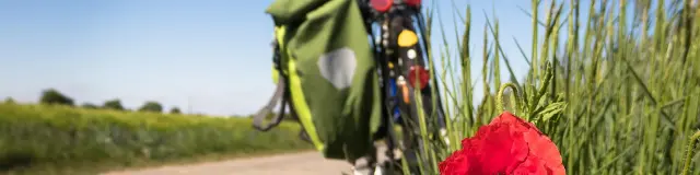 Vélo voie verte