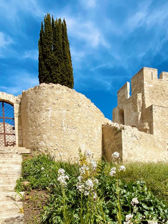 Chateau De Gisors La Barbacane Et Tour Du Gouverneur W Ml Vittori 2021