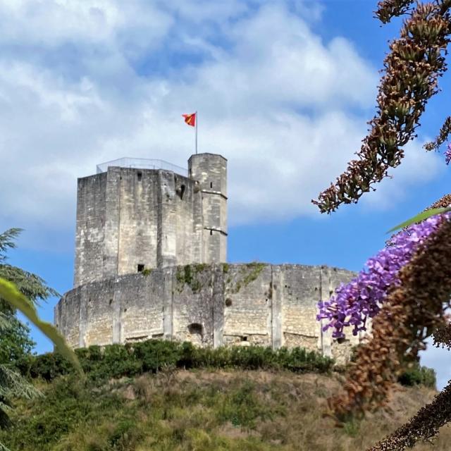 Chateau De Gisors Motte Et Fleurs Violettes W Ml Vittori 2