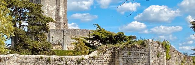 Chateau De Gisors Vue Des Remparts