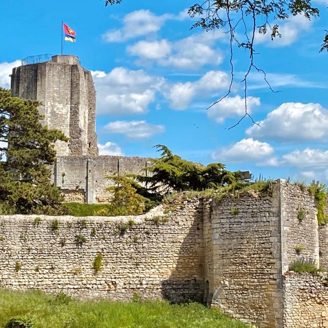 Chateau De Gisors Vue Des Remparts