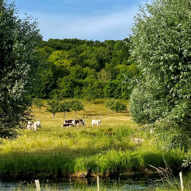 Paysages Voie Verte Gisors Gasny Ml Vittori