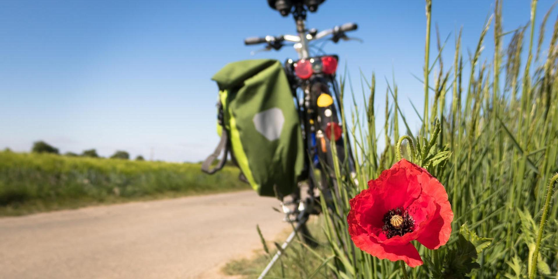 Vélo voie verte