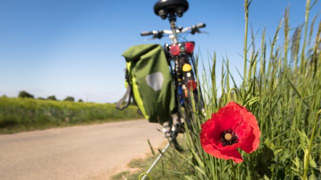 Vélo voie verte