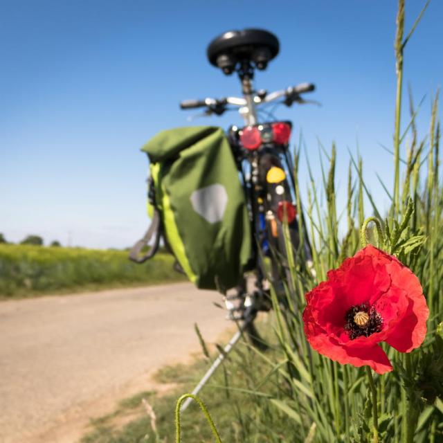 Vélo voie verte