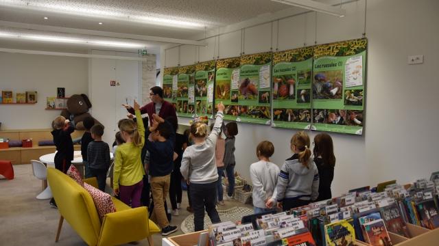 Atelier Enfant Communaute De Communes Du Vexin Normand Ludo Mediatheque Communautaire