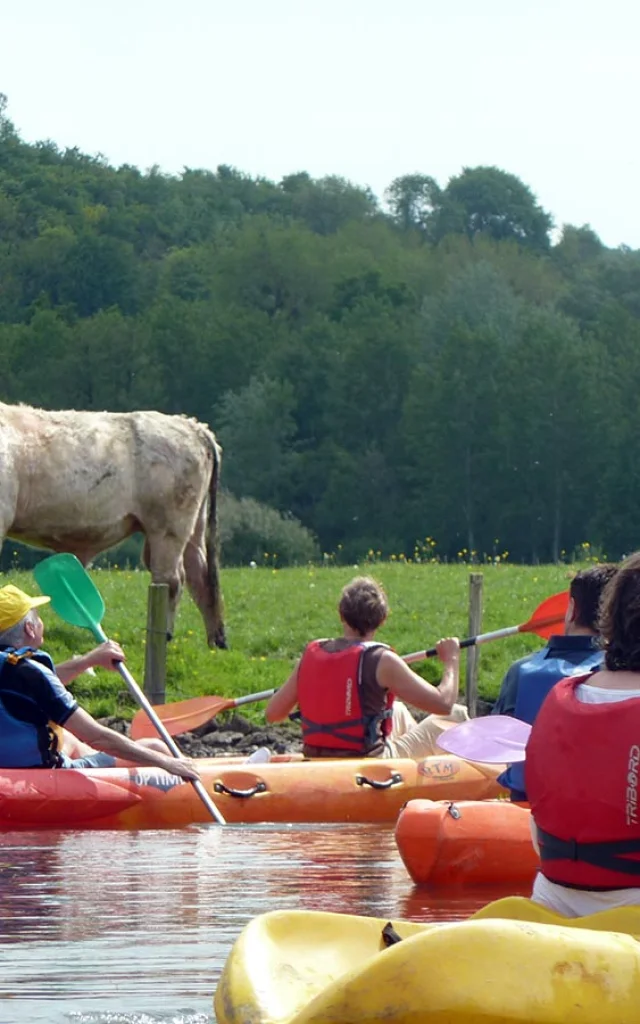 Canoepte Promenade Vache Canoepte