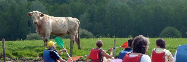 Canoepte Promenade Vache Canoepte