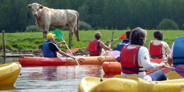 Canoepte Promenade Vache Canoepte