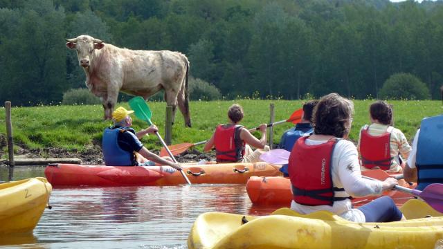 Canoepte Promenade Vache Canoepte