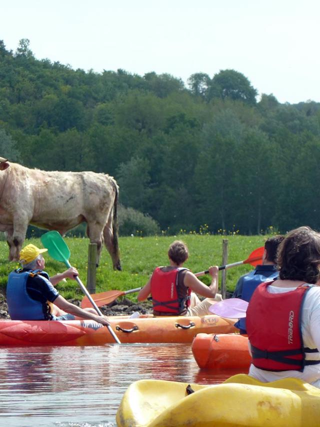 Canoepte Promenade Vache Canoepte