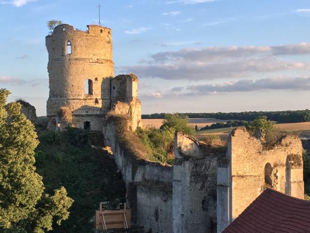 Chateuneufsureptedonjon2heritagehistorical 1