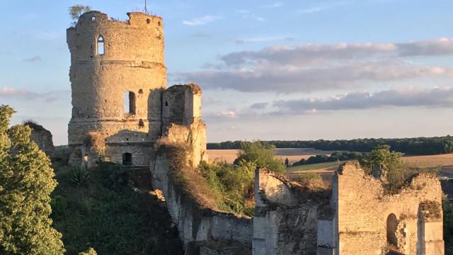 Chateuneufsureptedonjon2heritagehistorical