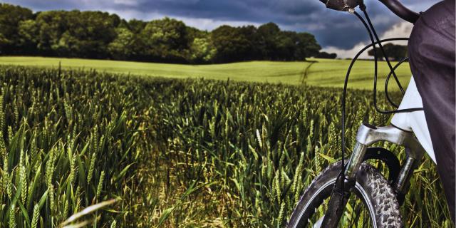 Vtt Dans Les Champs Canva Pro